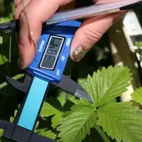 Student measuring size of plant leaves