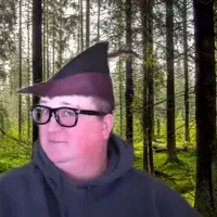 Robin Hood in a forest