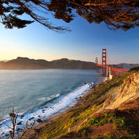 Artwork by Tyler Sharp