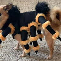 1st place, Best Dressed Pet – “Spider Dog” submitted by Stacy Hardy