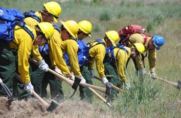Students digging a fire line in the field