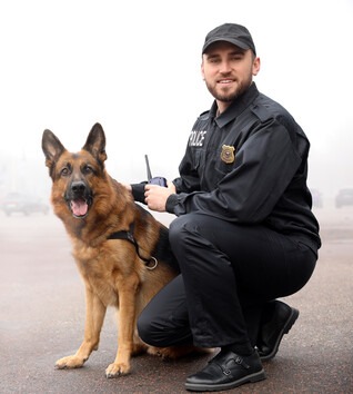 Police with police dog in foggy parking lot