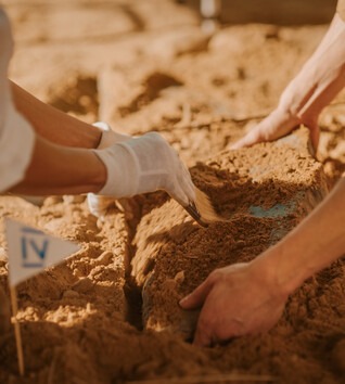 A group of people's hands digging something out of the ground
