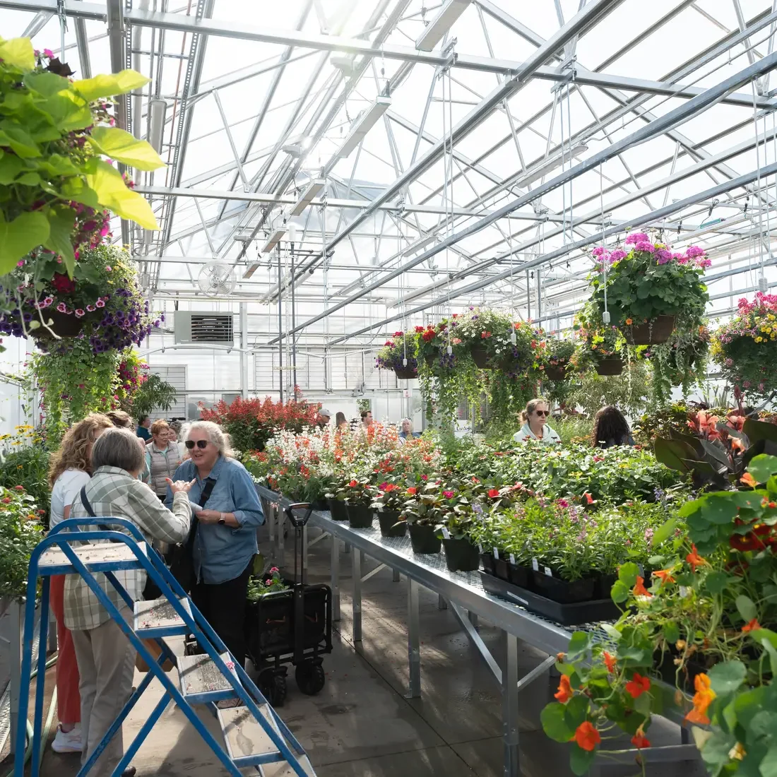 People roaming around the Greenhouse