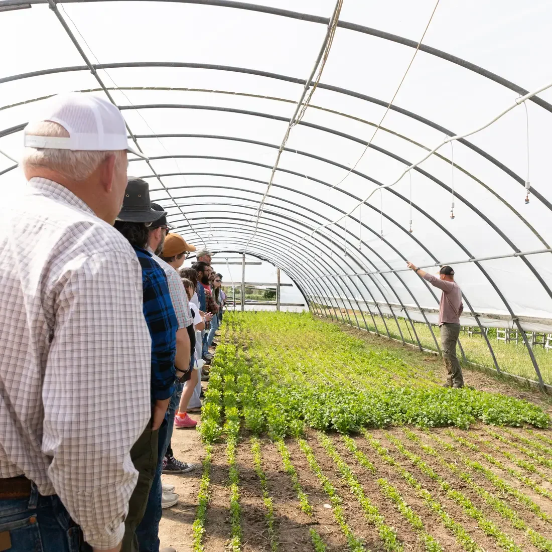 Group of people standing in greenhouse listening to tour guide