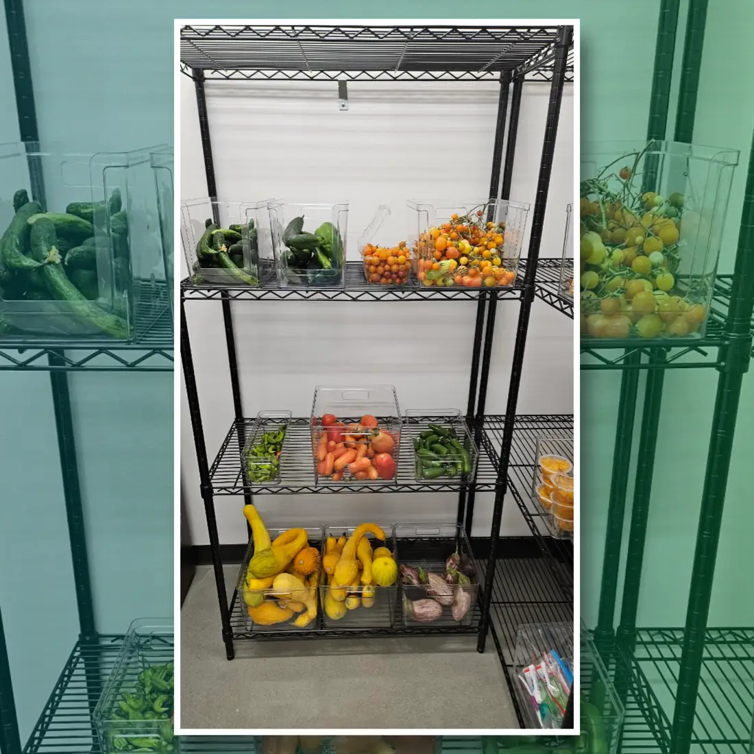 Fresh produce in the Food Pantry