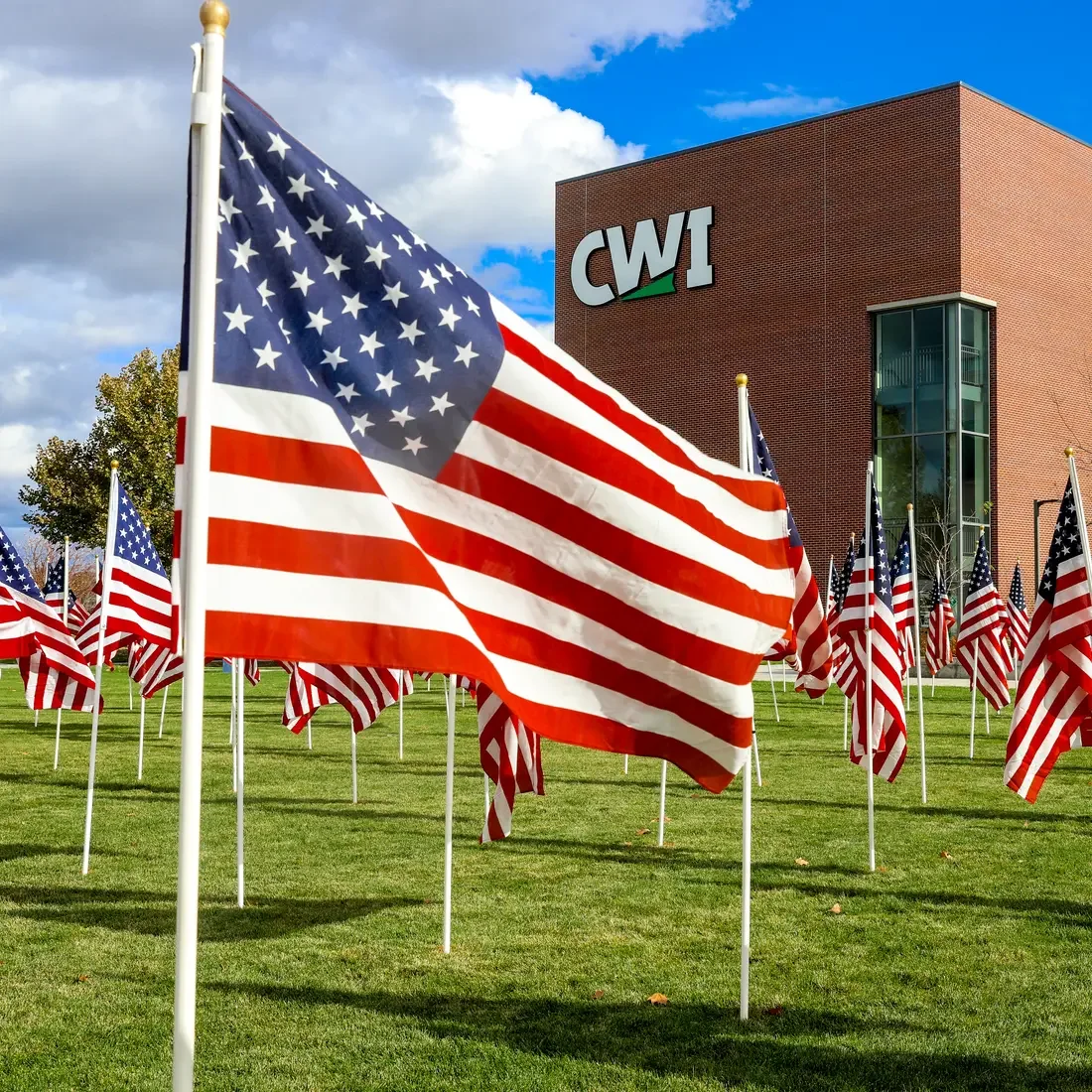 American flags placed around lawn in front of CWI building
