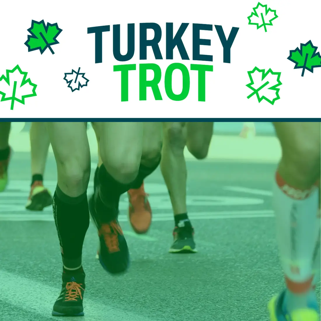 Turkey Trot logo with leafs