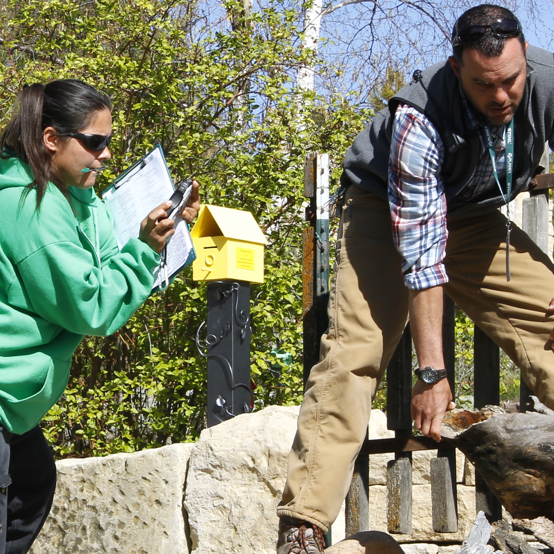 Horticulture students studying plant life