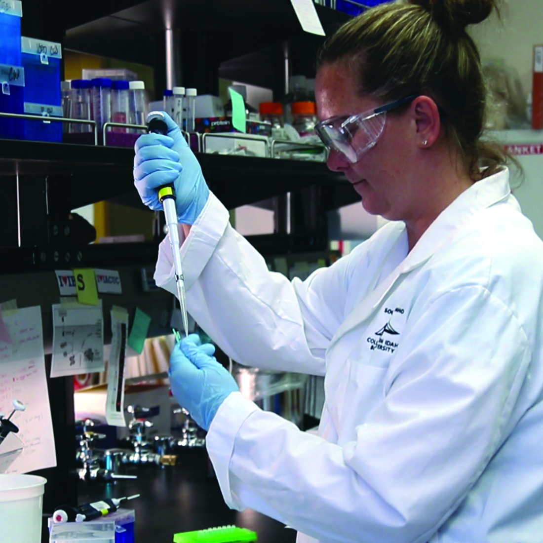 Former CWI students are making a big difference; changing the world and their careers through the Southwestern B2B program.