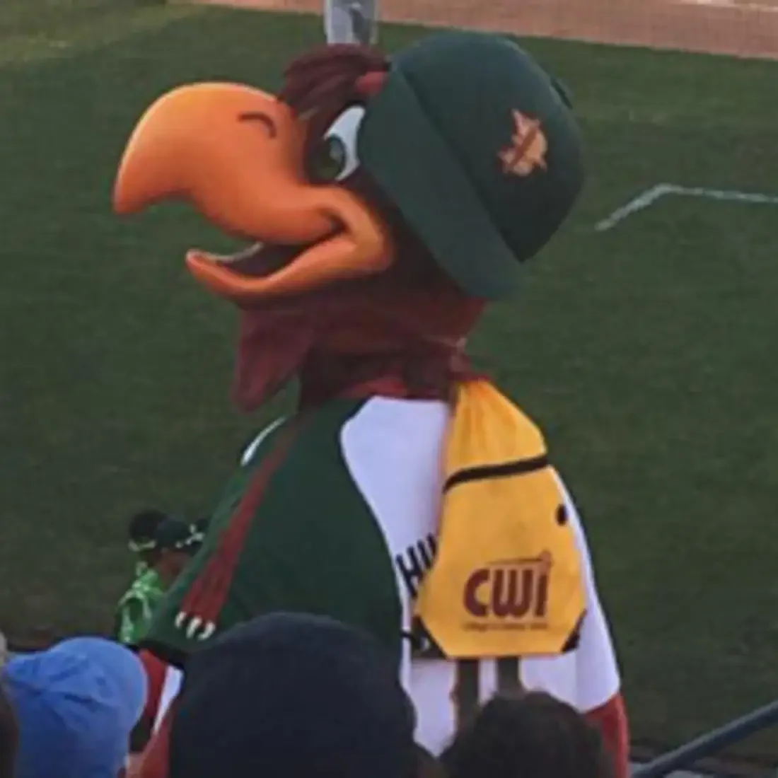Hawks mascot in stands with field in background