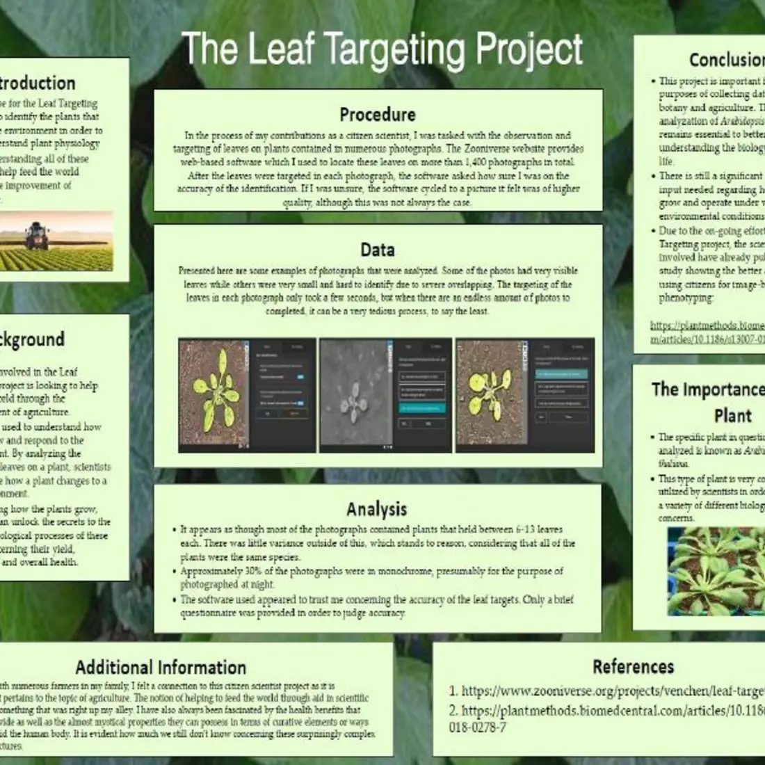 Leaf targeting project by CWI student Brad Gourdin.
