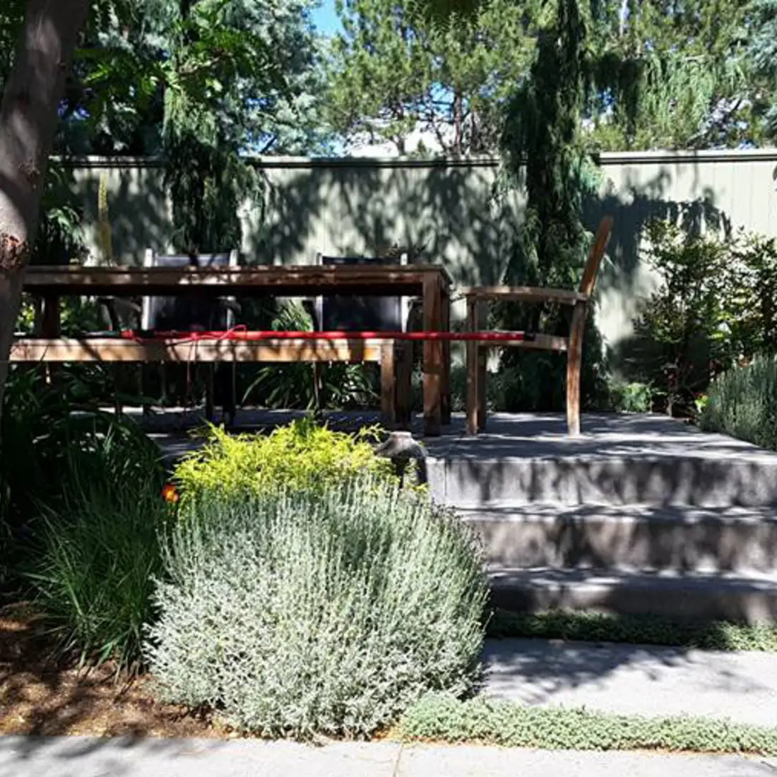 Backyard table and chairs with trees and plants where you can watch the birds