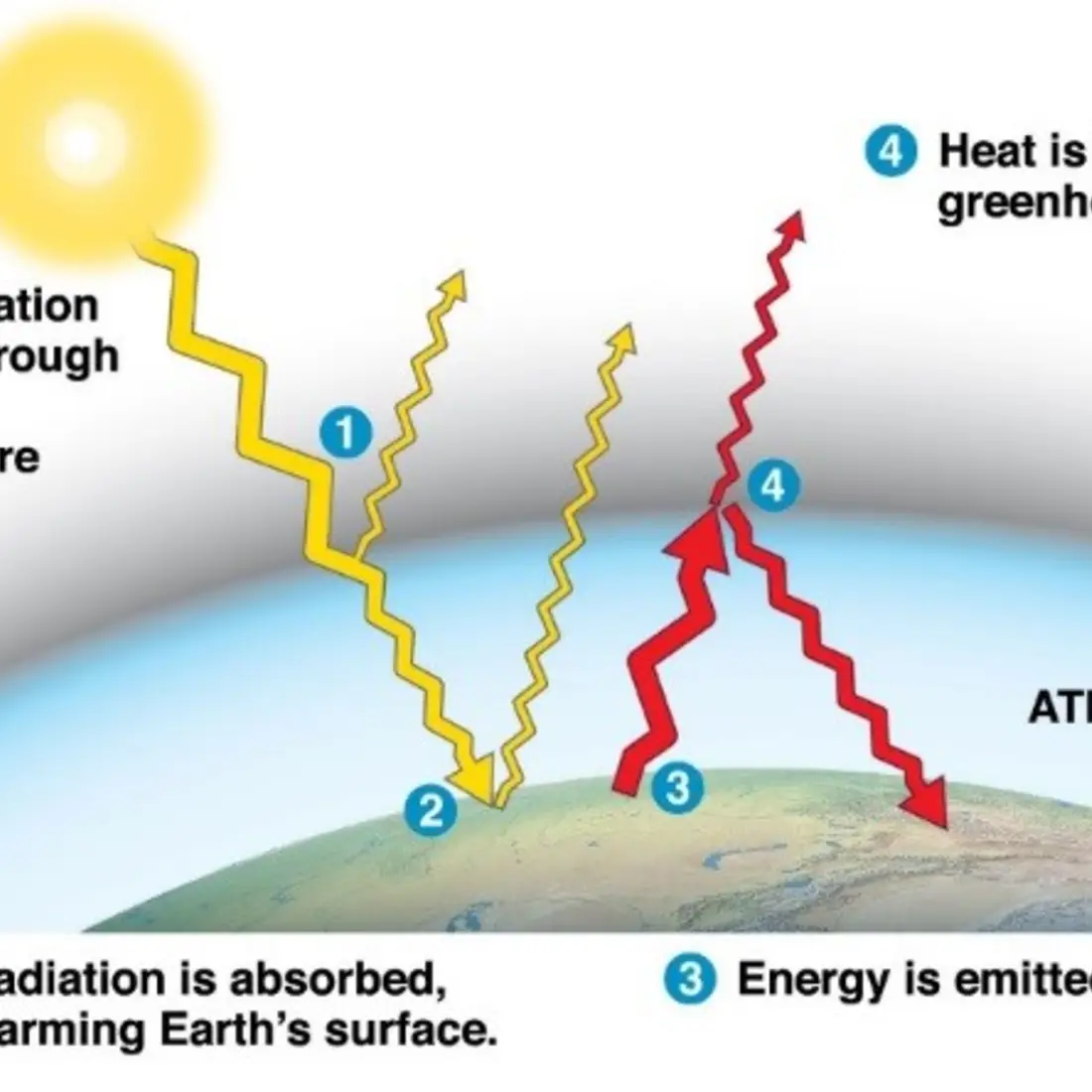 Figure 1 Effect of greenhouse gasses on global climate. Source: Campbell Biology (11th Ed.)