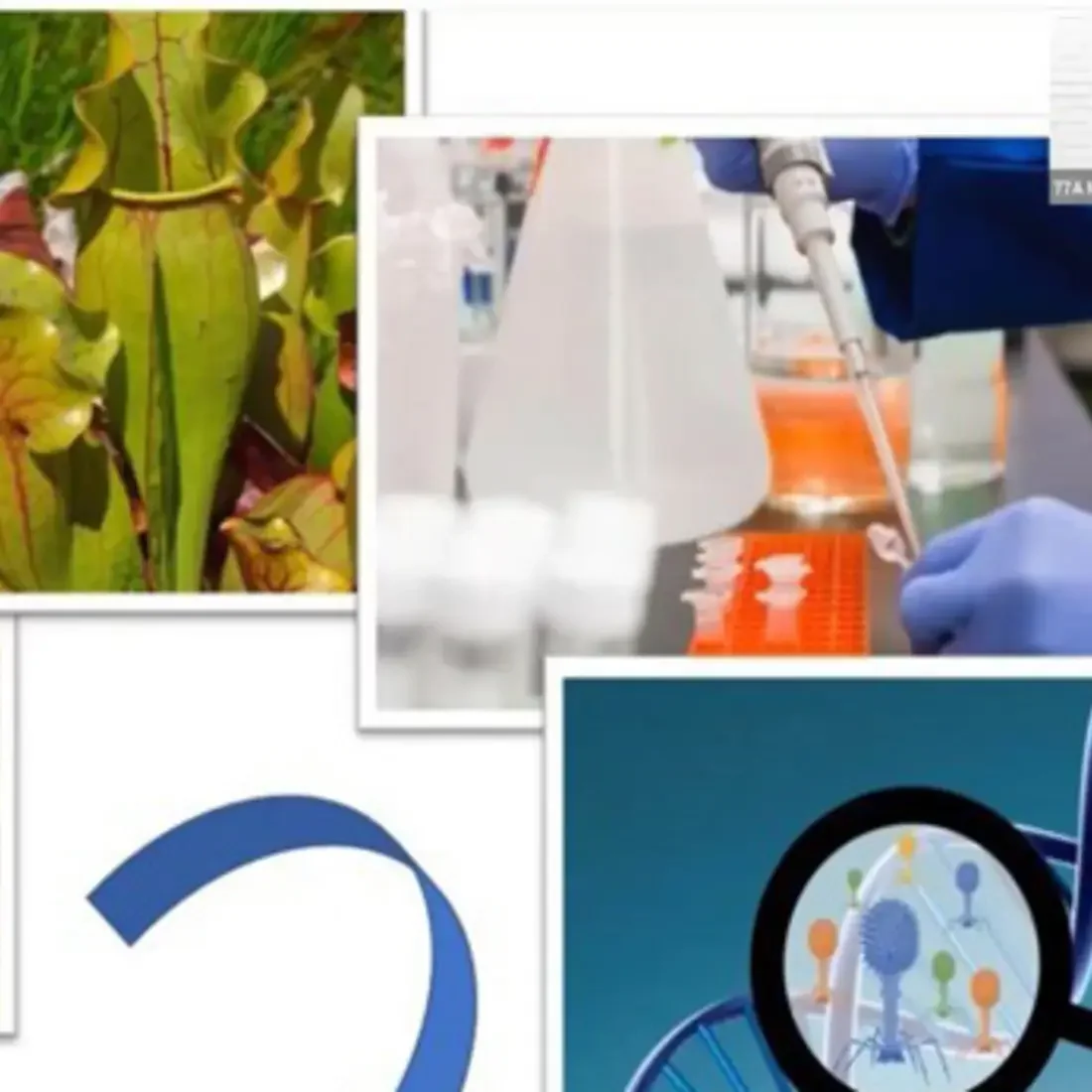 College of Western Idaho’s science legacy was on spectacular display last month during ICUR.