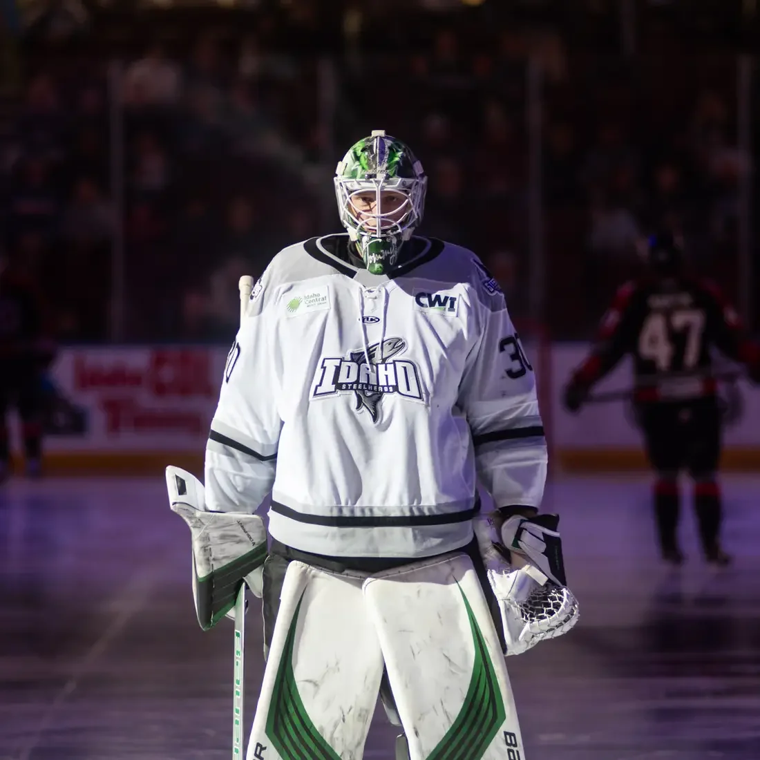 A hockey player stands on the ice.