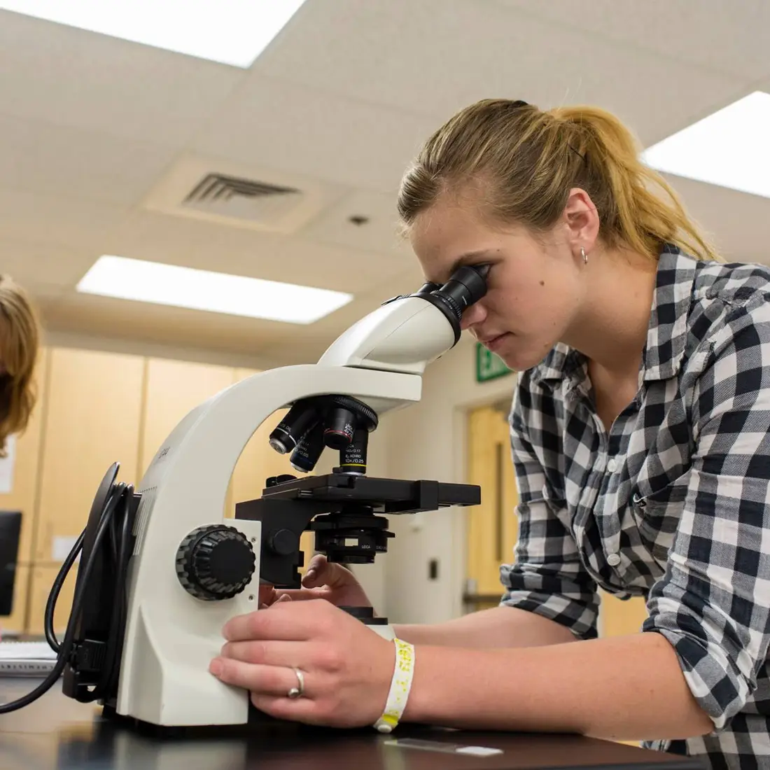 15110987 10154062420455418 2299616676179411587 o