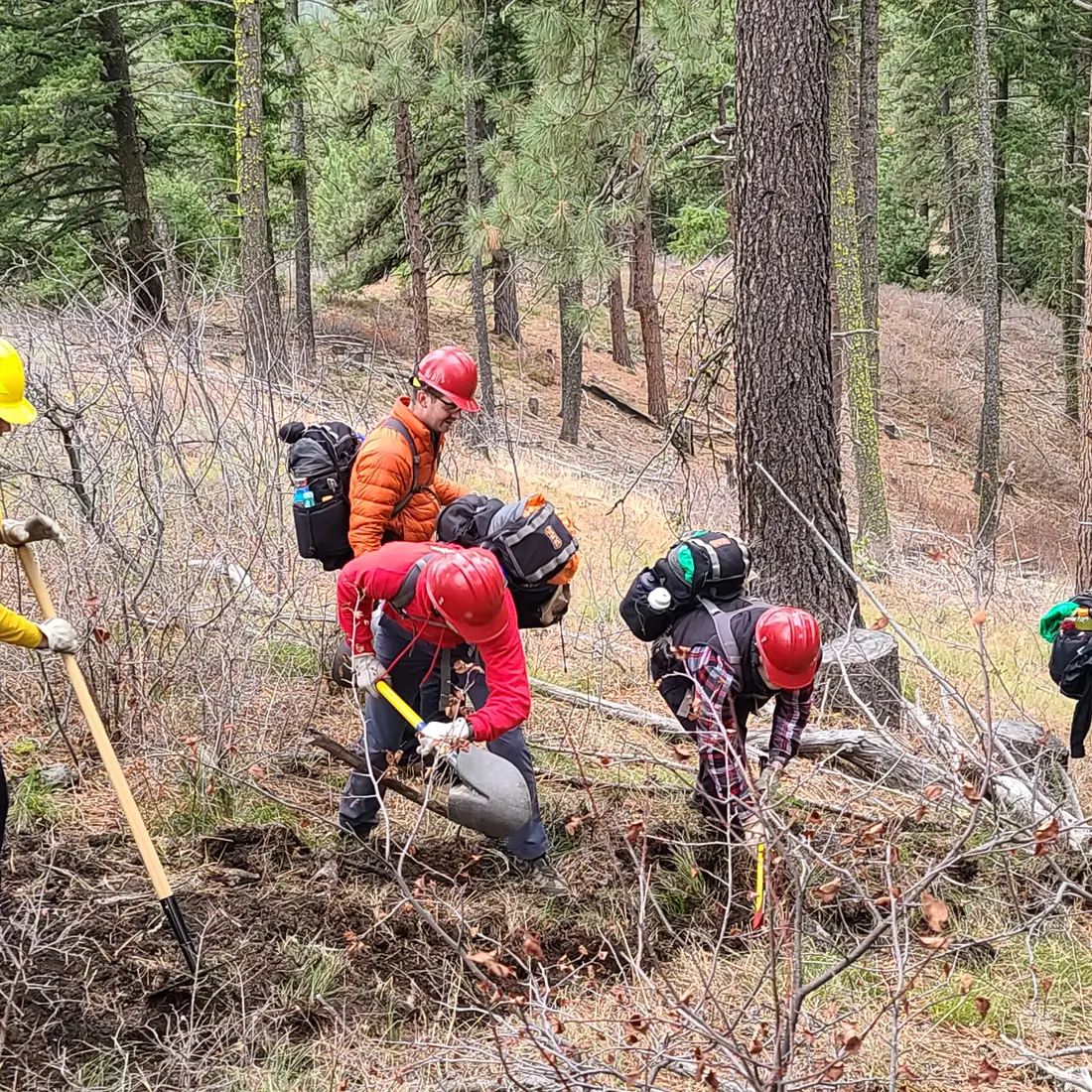 Fire Service Technology students field training in Idaho City 