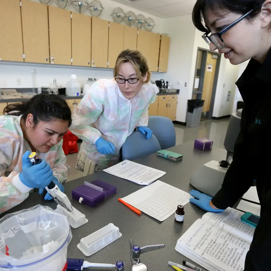 INBRE scholars work on a research project at the College of Western Idaho on May 24, 2018.