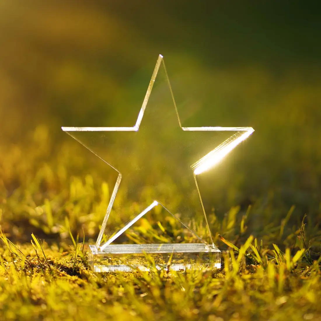 A star-shaped translucent award is pictured, back-lit, on grass.