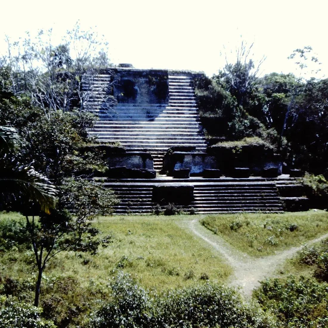 Ancient  Maya building