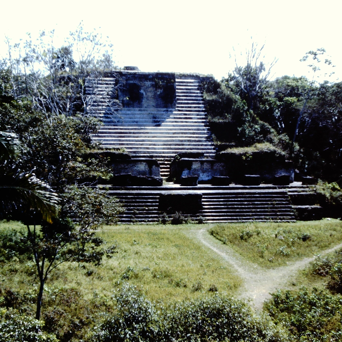 Ancient  Maya building