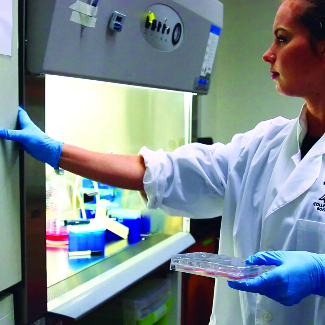 B2B student at work in the lab