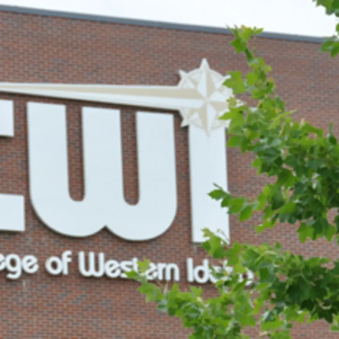 Bertsalerts article image ncab