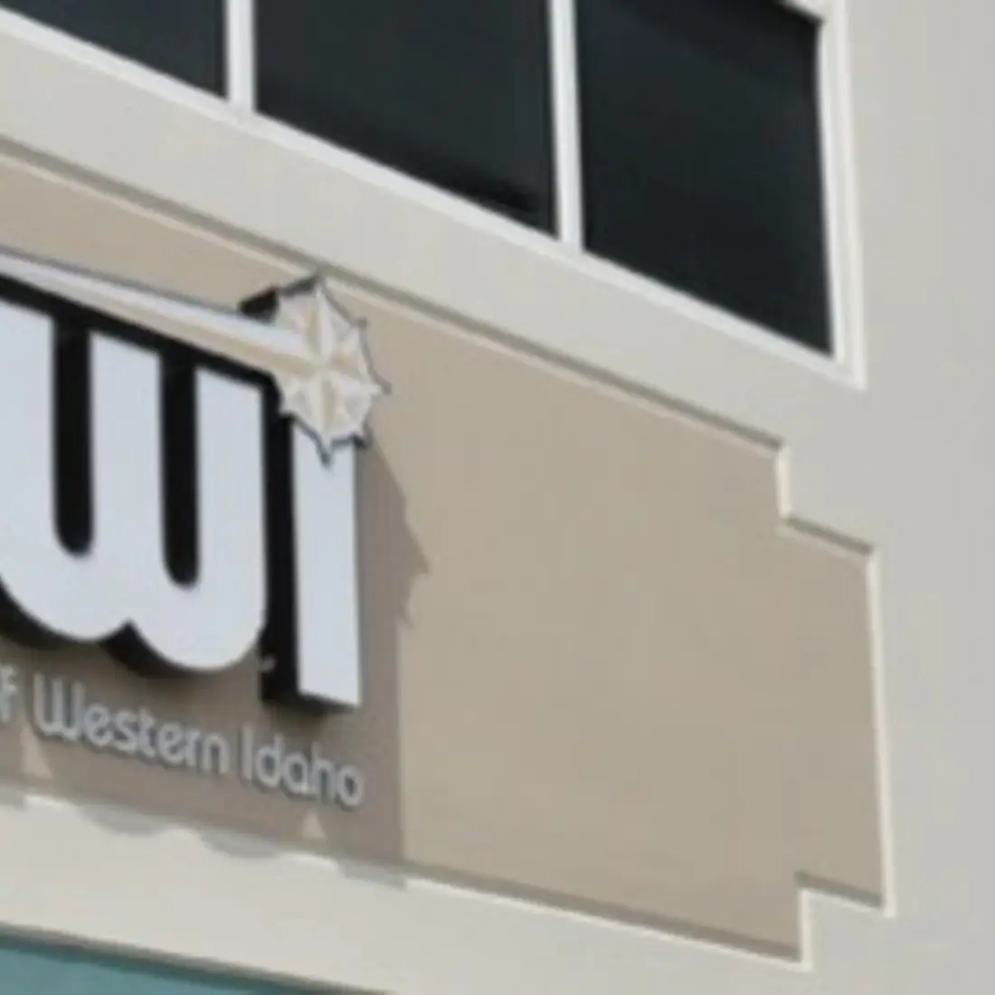 Boardelections online