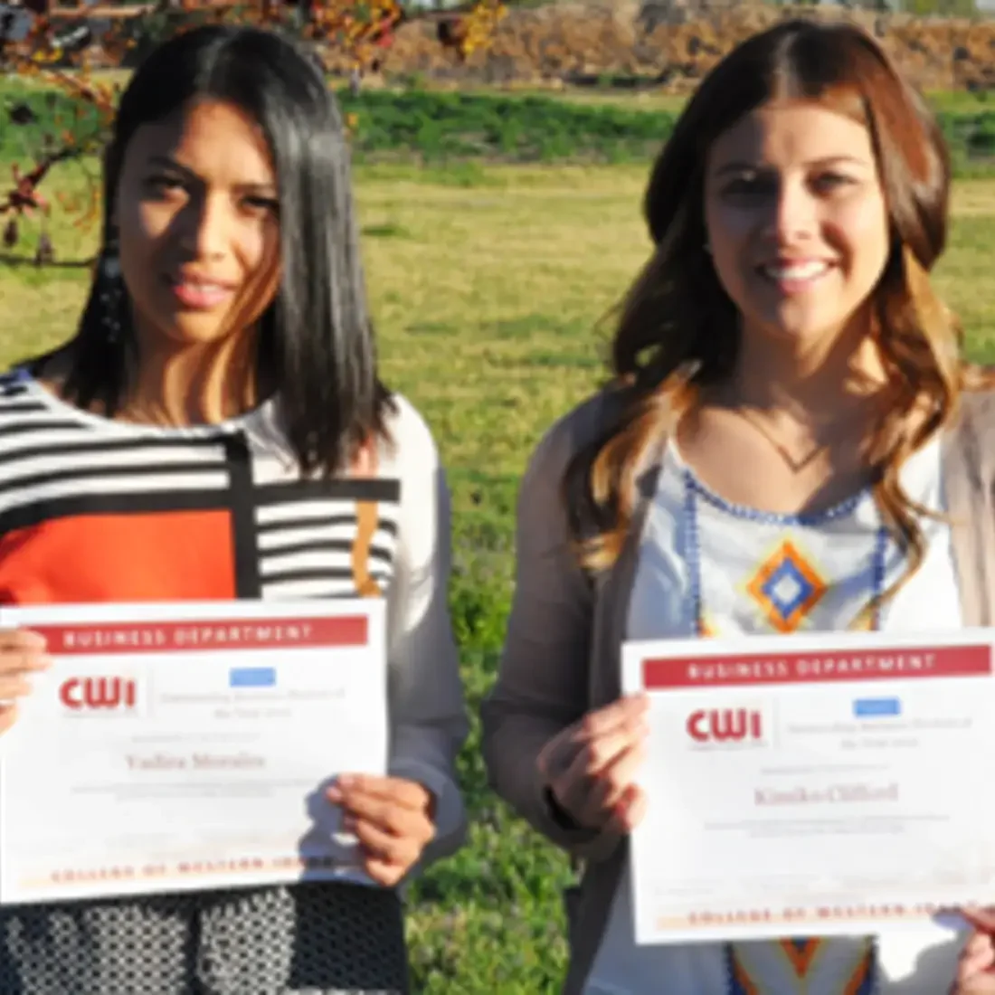 Businessawards online