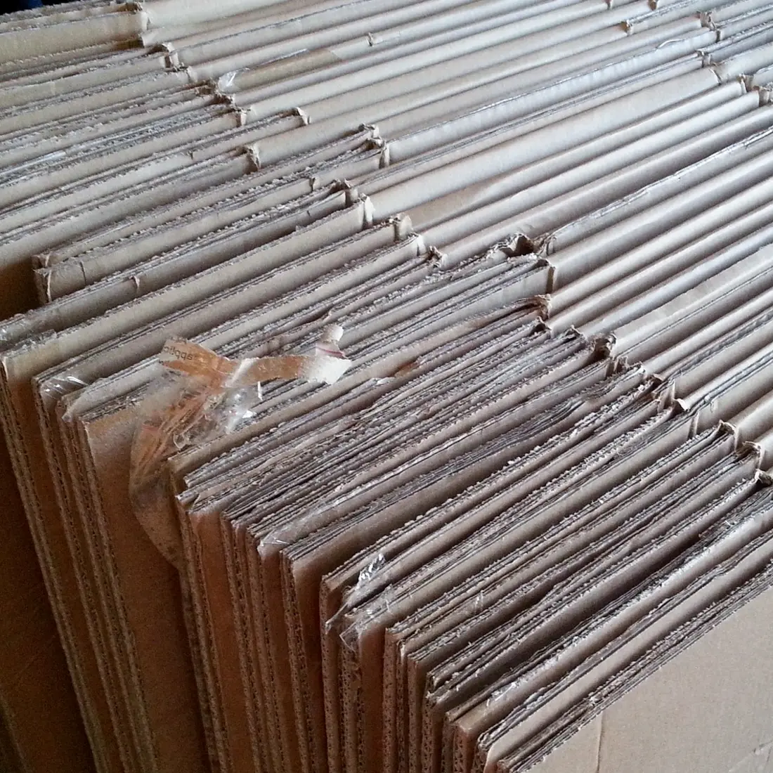 Art Club creating a structure out of cardboard at Connections Project