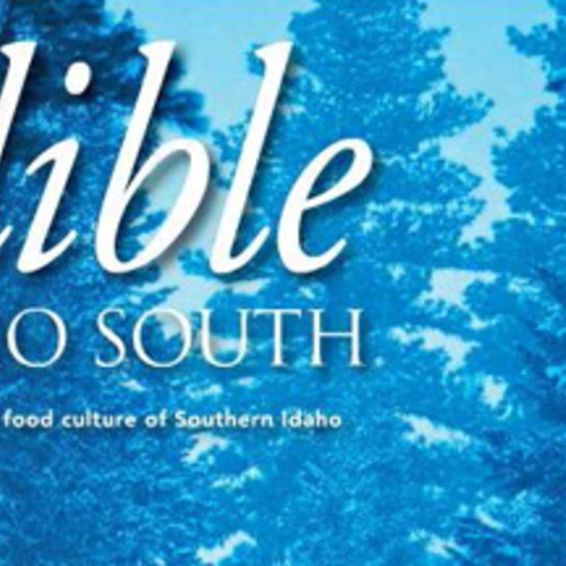 Culinaryarticle online