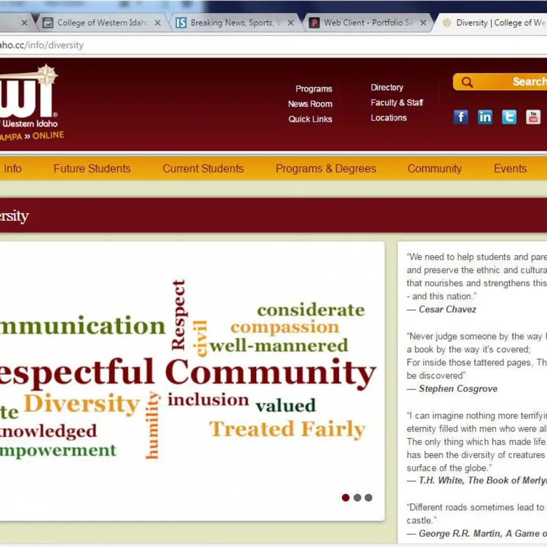 Diversity online