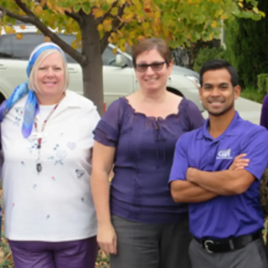 Domesticviolence online