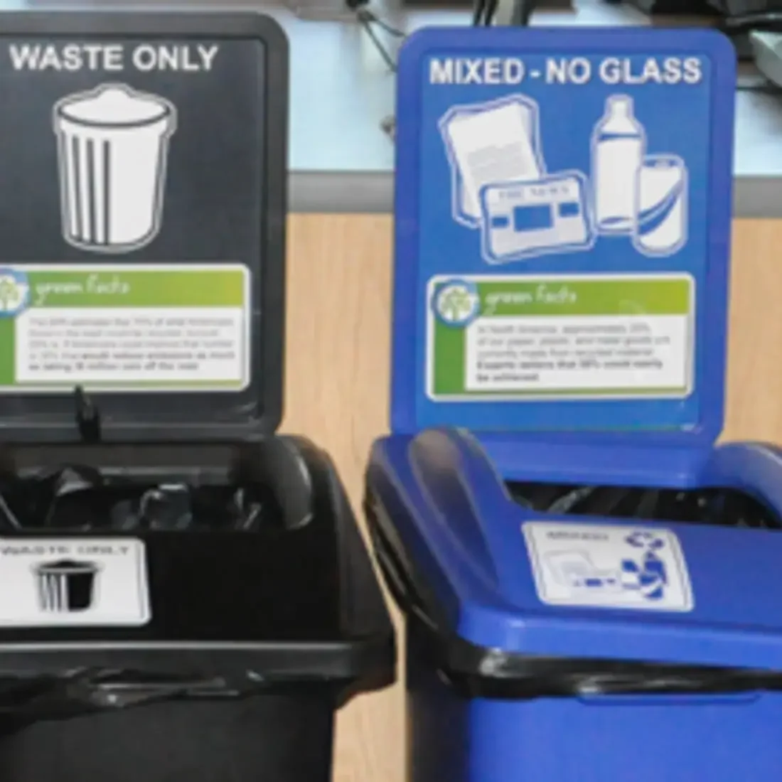 Garbage and recycling bins 