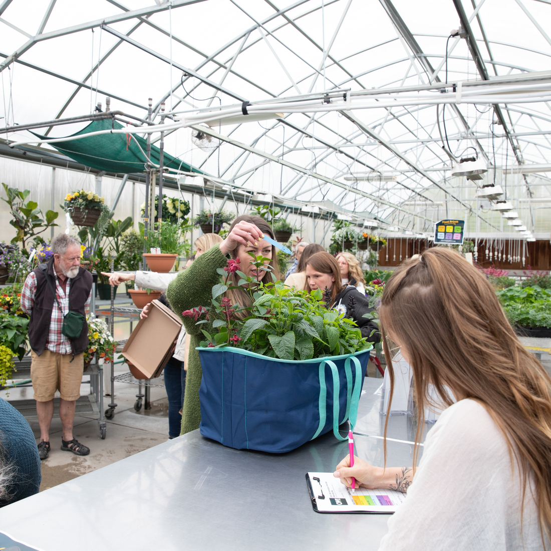 People buying plants at a greenhouse