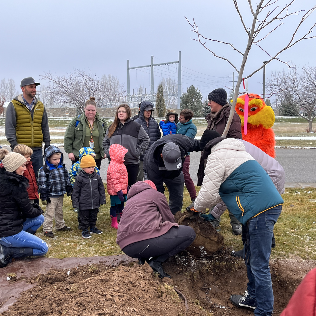 Faculty, staff, and students planting a tree
