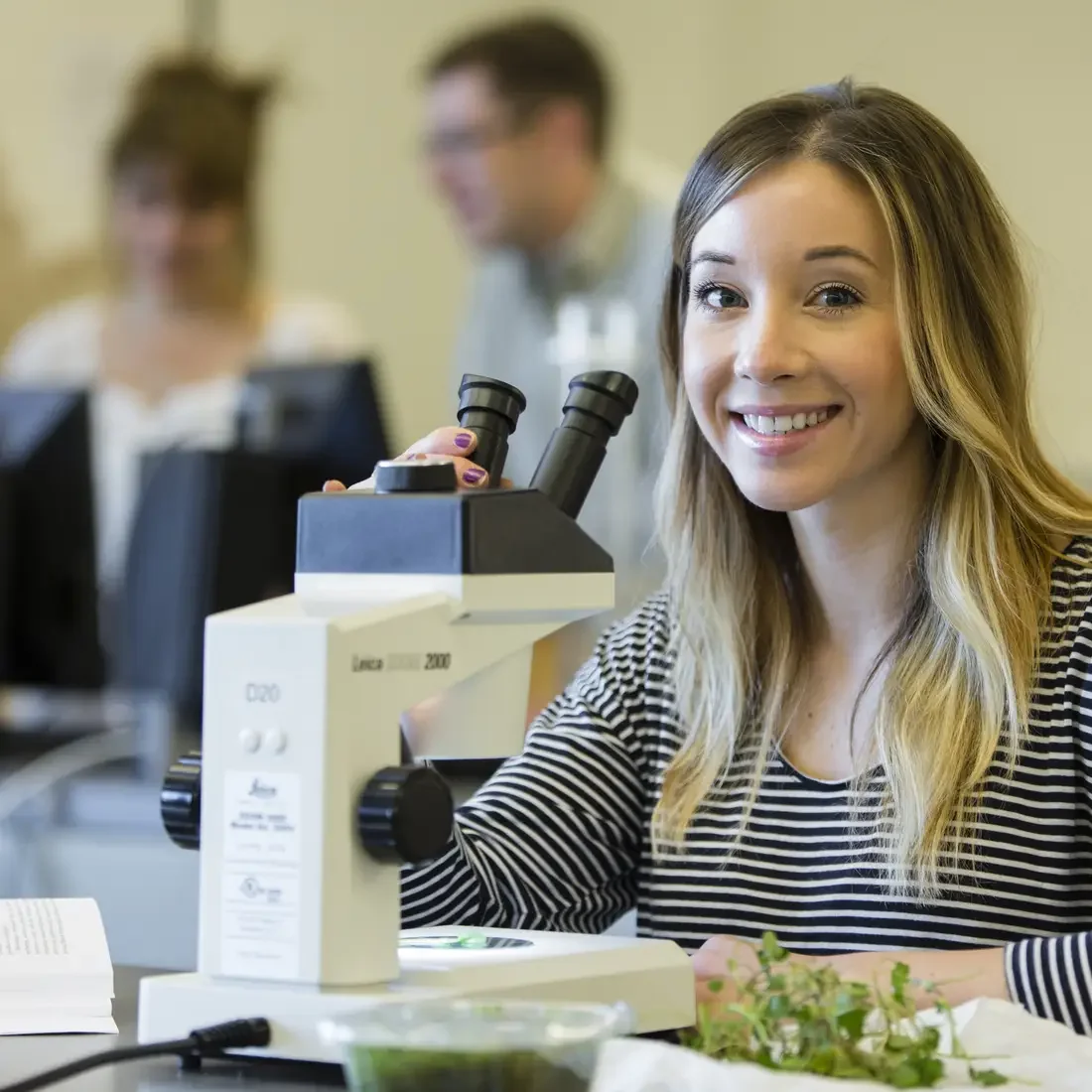 INBRE Fellows Program