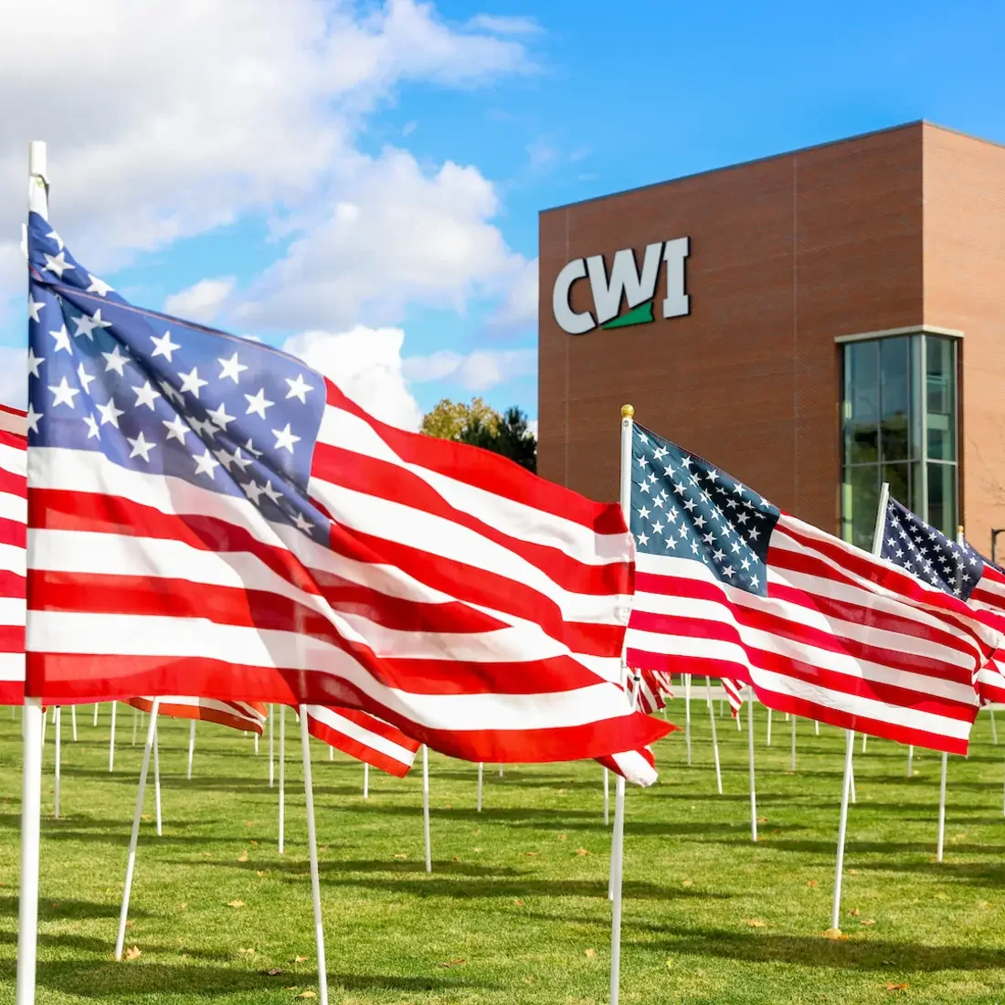 Rows of American flags displayed on a grassy lawn in front of a brick building