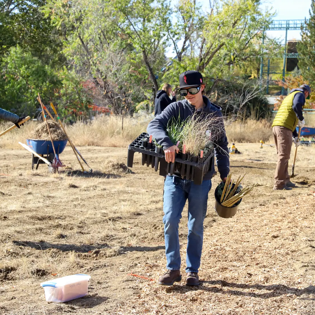 Student planting at Restoration Week