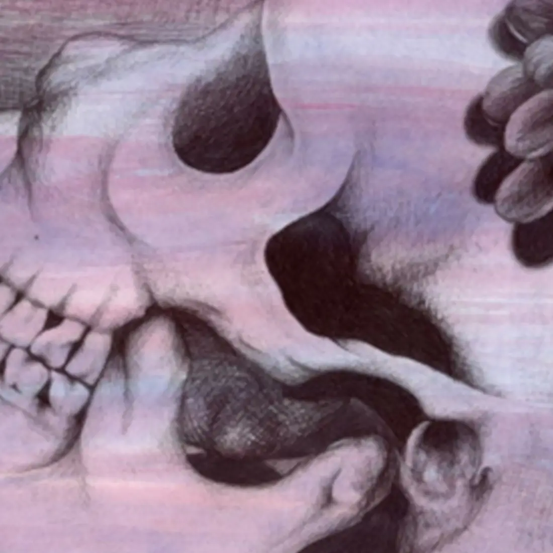 Arielle Johnson’s untitled still-life drawing featuring a skull - winner of the 2019 Juried Art Show