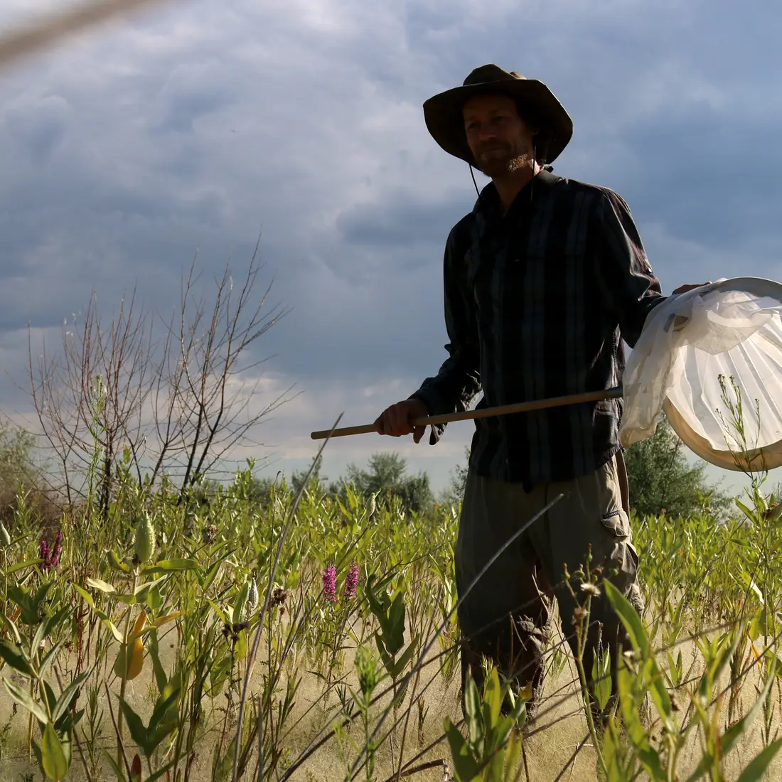 Dondi Black of Boise, raced across the wet ground through knee high grass to catch the elusive butterfly