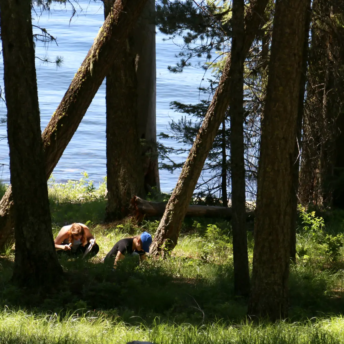 Students in forest close to lake