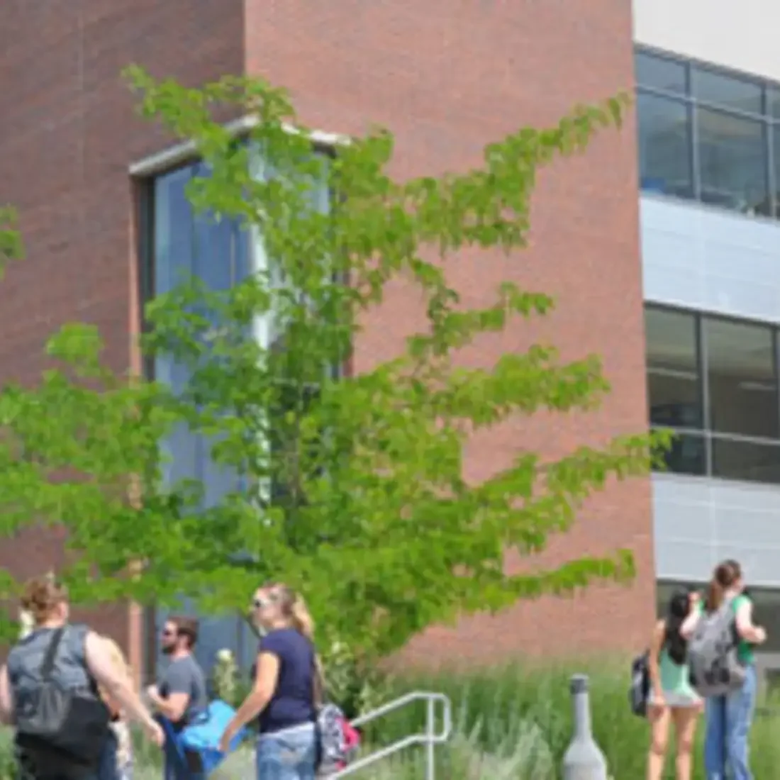 Newsroom image successfulstart