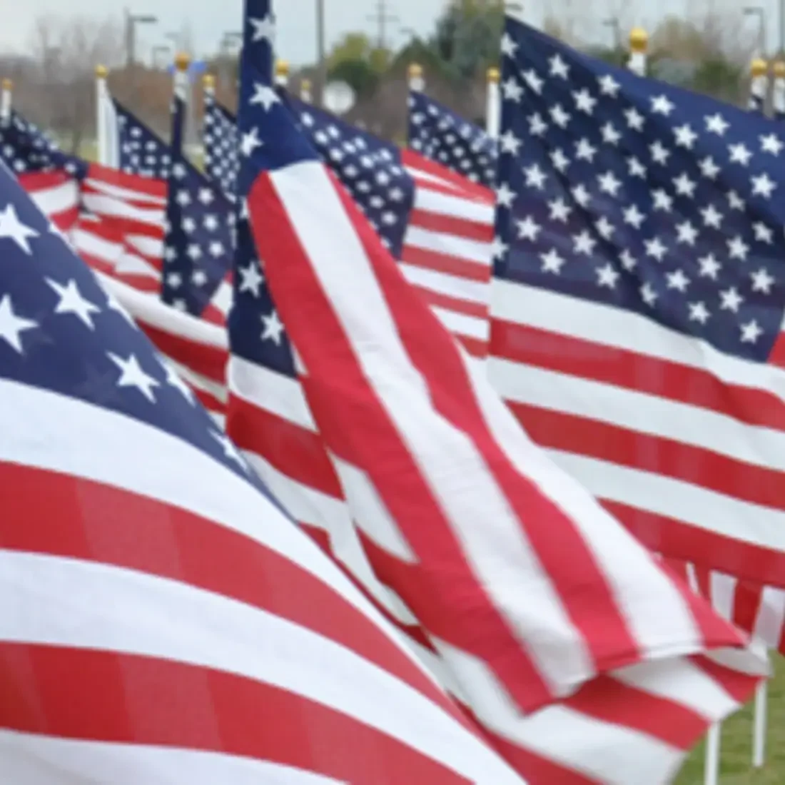 Newsroom image veteransceremonies