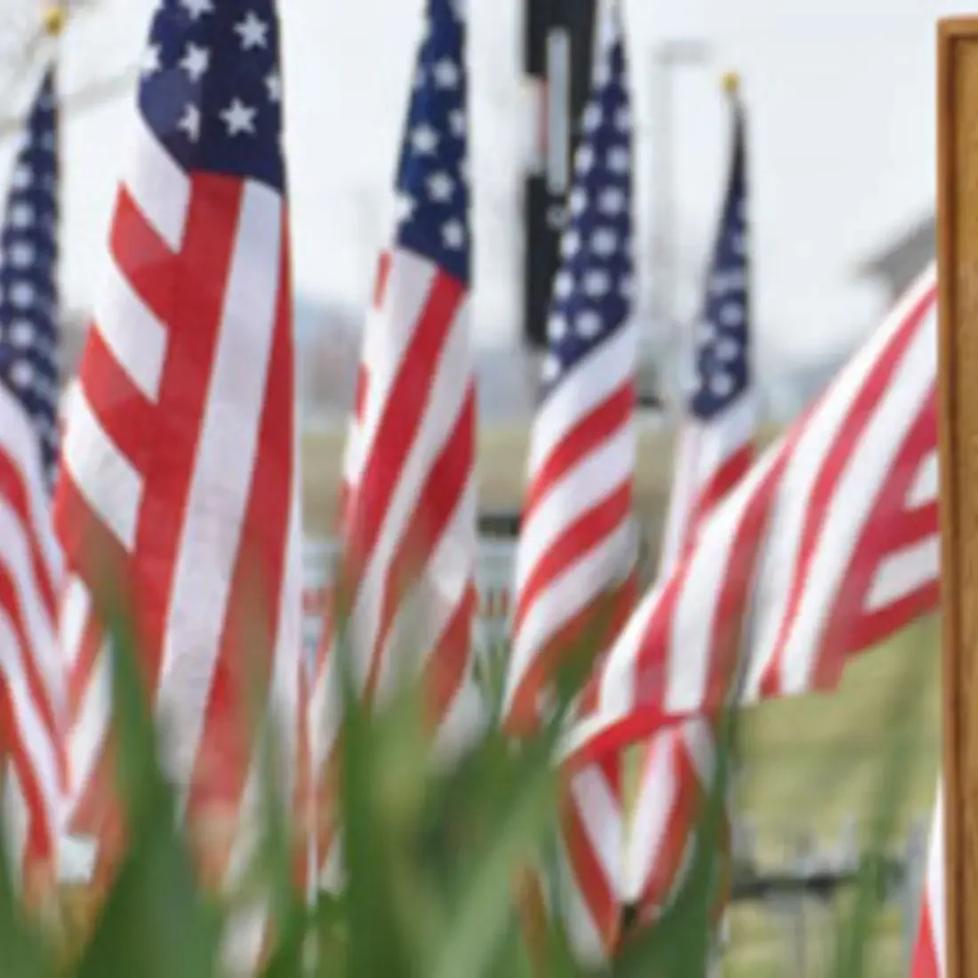 Newsroom image veteransday