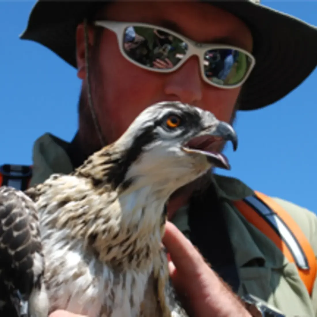 Osprey held by recent CWI graduate Tyrell Styhl