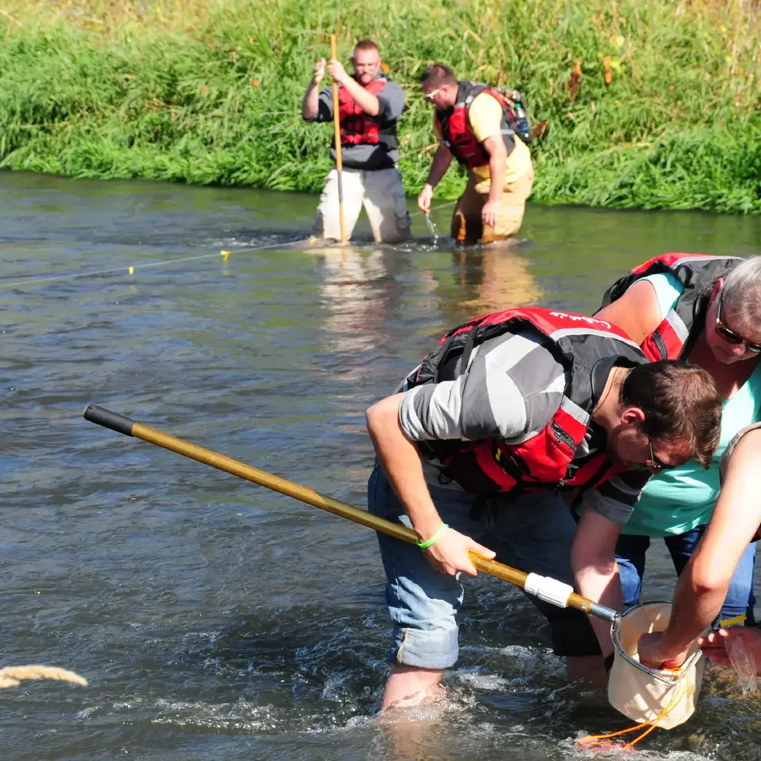 Students and faculty looking for items in river
