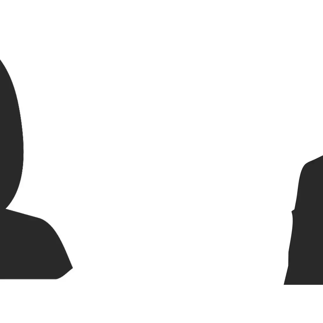 Professional headshot flyer