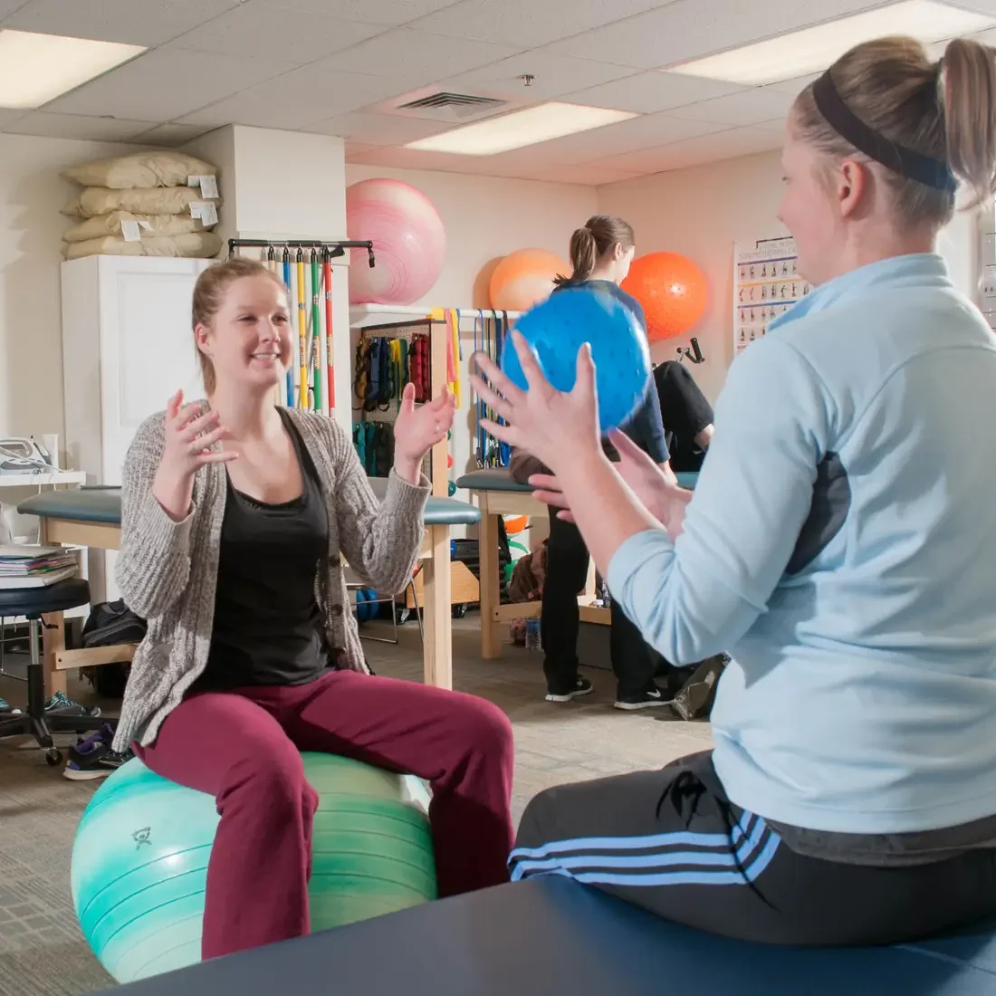 Students on yoga balls in the Physical Therapist Assistant program